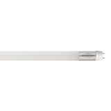 Lâmpada Tubular Led T8 Blumenau - 9w - 6500k Luz Branco Frio