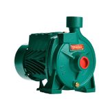 Bomba Monoestágio B-10 1/4 Cv Monofásico Motor Thebe Ip44 127/220v Selo/ Anel Viton