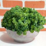 15 Plantas Artificiais Mini Buquês (6 Hastes Em Cada) Picks Para Criar Guirlandas E Decorações Ornamentais