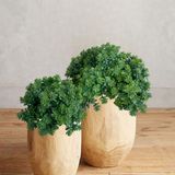 20 Mini Buquês De Plantinhas Permanentes Ótimo Preço E Alta Qualidade Para Decorações Estilo Faça Você Mesmo