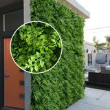 20 Quadros Verdes Decorativos Internos Premium 60x40 Qualidade Superior Para Jardim Vertical Artificial