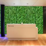 20 Painéis De Grama Artificial De Trevo Linha Premium Decoração Para Sala 60x40 Ótimo Preenchimento