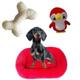 Cama Bigata G Tecido Soft Com Osso E Pelucia Kit 3 Peças Vermelho