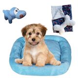 Cama Bigata M Tecido Soft Com Osso Pelucia E Manta Kit 4 Peças Azul Claro
