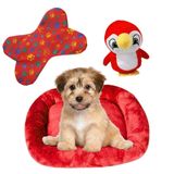 Kit Caminha Pet Bigata M Luxo Fofa Com Comedouro E Pelucia Vermelho