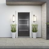 Porta De Aluminio Lambril Pivotante 220x90cm Com Puxador Preto