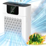 Purificador De Ar Westhey Hepa Filtro Para Sala Grande 250m² Com Aplicativo
