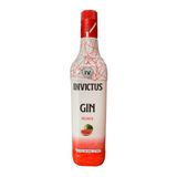 Gin Invictus Diversos Sabores - 900ml Melancia/watermelon
