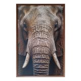 Quadro Decorativo Elefante Moldura Cx Alta 100x66 Titulos Moldura Madeira
