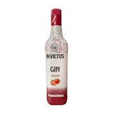 Gin Invictus Diversos Sabores - 900ml Morango/strawberry