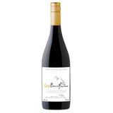 Vinho Barrica Andina Estate Selection Pinot Noir 750 Ml