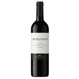 Vinho Tinto Argentino Benjamin Blend