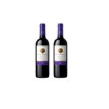 Kit Vinho Santa Helena Carmenere Reservado Tinto 750ml 2uni