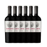 Kit 6 Vinhos Chilenos Terrunyo Cabernet Sauvignon 750ml