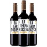 Vinho Tinto Tiera Rocosa Carmenere 750ml (3 Und)
