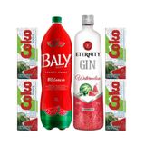 Combo Gin Melancia 900ml + Energético Baly 2l + 4 Coko