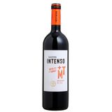 Vinho Salton Intenso Merlot Tannat 750ml
