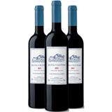 Vinho Tinto Bons Ventos 750ml (3 Und)