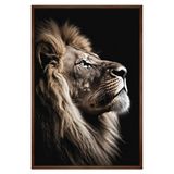 Quadro Decorativo Leão Da Fé Sala Moldura Cx Alta 100x66 Titulos Moldura Madeira