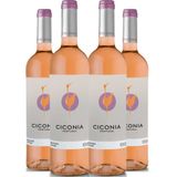 Vinho Rose Ciconia Alentejo 750ml Kit 4 Garrafas