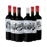 Kit 6 Vinhos - Mil Demonios Infierno Casa De Demonios