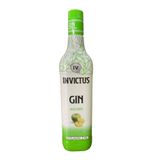 Gin Invictus Diversos Sabores - 900ml Maça Verde