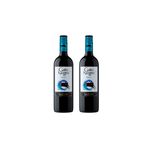 Kit Vinho Gato Negro Merlot Tinto Meio Seco Chileno 750ml 2u