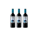 Kit Vinho Gato Negro Merlot Tinto Meio Seco Chileno 750ml 3u