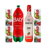 Gin Invictus Melancia 900ml + Energético Baly 2l + 4 Coko
