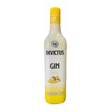 Gin Invictus Diversos Sabores - 900ml Tropical