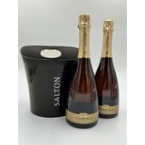 Kit 02 Espumantes Salton Evidence Brut + Balde