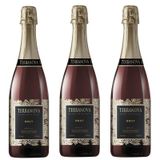 Kit Espumante Brasileiro Miolo Terranova Brut