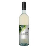 Vinho Branco Seco Português Vila Castanha