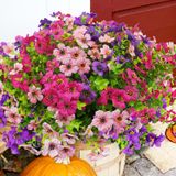Flores Artificiais Trytuny Resistentes Aos Raios Uv Para Uso Externo (20 Unidades)