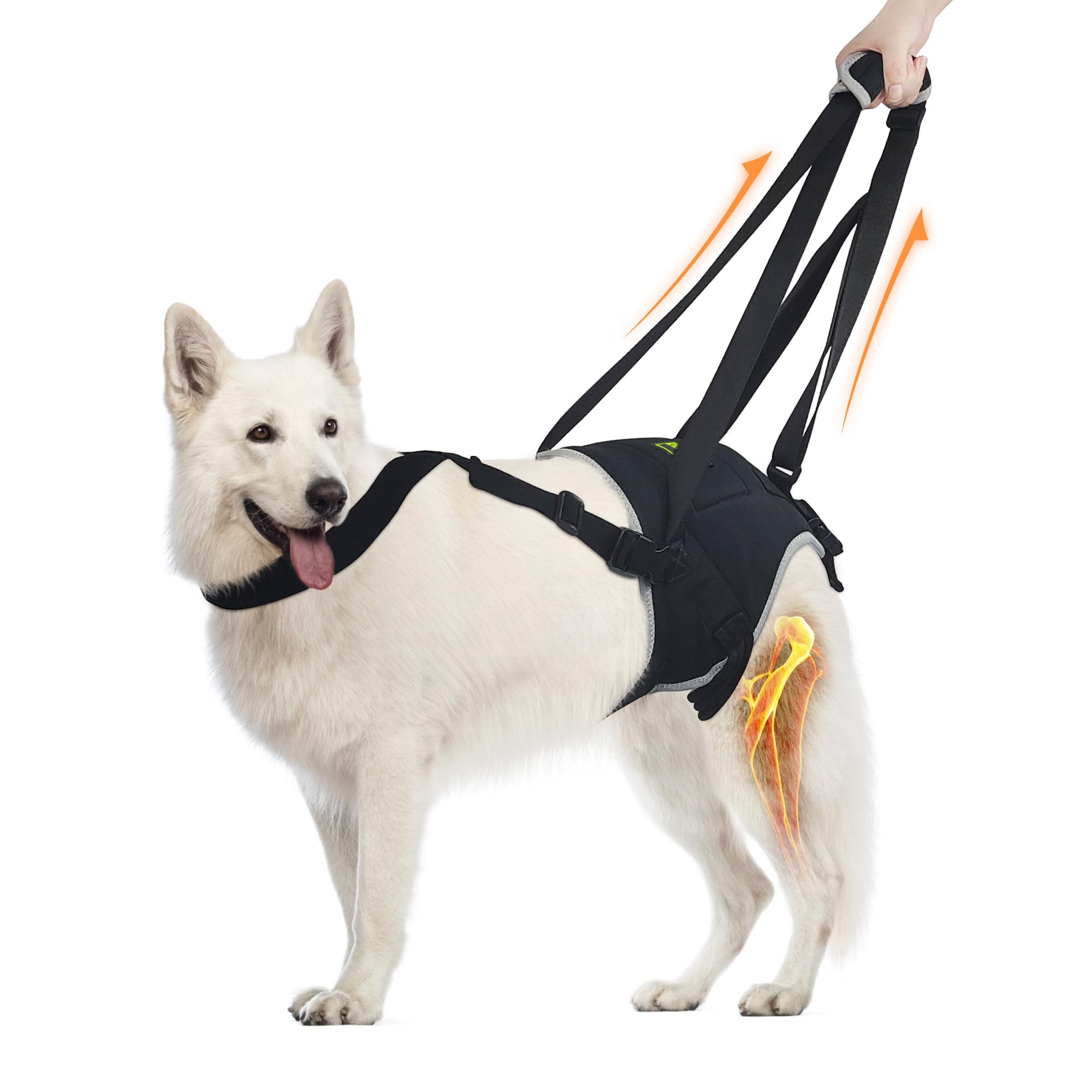 Arnês De Elevação Dog Sling Hind Leg Support Para Cães Grandes