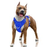 Arnês Para Cães Barkbay No Pull Air Mesh Reflexivo Grande Azul