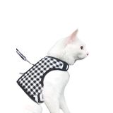 Arnês E Coleira Para Gatos Yizhi Miaow, Manta Preta Ajustável Xxl