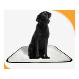 Tapete Pet Banheiro Lavável Pet Em Oferta 2un G 90x100cm