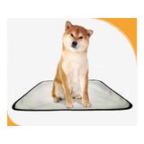 Tapete Pet Banheiro Lavável Pet Em Oferta 2un M - 60 X 80 Cm