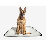 Tapete Pet Reutilizável Adestramento Oferta 10un M1 70x100