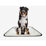 Tapete Pet Reutilizável Adestramento Oferta 4 Un G1 100x120