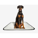 Tapete Pet Reutilizável Adestramento Oferta 7 Un G2 120x120