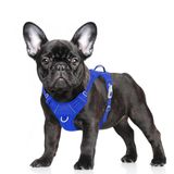 Arnês Para Cães Barkbay No Pull Step-in Refletivo Grande Azul