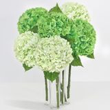 Flores Artificiais Yastouay Real Touch Hydrangea X6 Verde Claro
