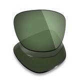 Lentes De Reposição Mryok Polarizadas Para Ray-ban Meta Wayfarer