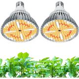 Lâmpada Led Grow Light Lonwon Equivalente A 320 W E26 Base 4000k, Pacote Com 2