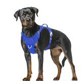 Arnês Para Cães Barkbay No Pull Air Mesh Reflective Xl Blue