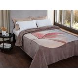 Cobertor King Kyor Plus Catania Jolitex Ternille Bege