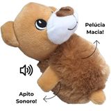 Mordedor Urso De Pelúcia Brinquedo Para Pets