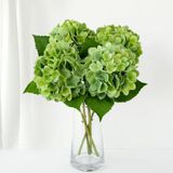 Flores Artificiais Zytuyo Faux Green Hydrangea 50cm Com Vaso